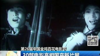 国产片子,光影交织下的时代印记